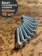 Винт с полукруглой головкой 5х50 ОЦ DIN7985, 10 шт.