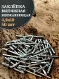 Заклепка вытяжная нержавеющая 4,8х10 , 50 шт.