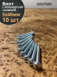 Винт с полукруглой головкой 5х40 ОЦ DIN7985, 10 шт.
