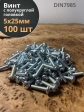 Винт с полукруглой головкой 5х25 ОЦ DIN7985, 100 шт.