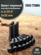 Винт чёрный 5х25 ISO 7380 под шестигранник к.п.10.9, 20 шт.