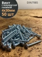 Винт с полукруглой головкой 4х30 ОЦ DIN7985 ,  50 шт.