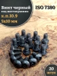 Винт чёрный 5х10 ISO 7380 под шестигранник к.п.10.9, 20 шт.