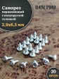 Саморез нержавеющий полукруглая гол. 2,9х6,5 DIN7981, 20 шт.