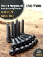 Винт чёрный 6х30 ISO 7380 под шестигранник к.п.10.9, 20 шт.