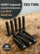 Винт чёрный 12х55 ISO 7380 под шестигранник к.п.10.9, 10 шт.