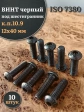 Винт чёрный 12х40 ISO 7380 под шестигранник к.п.10.9, 10 шт.