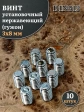 Винт установочный нержавеющий 3х8 DIN913 (гужон), 10 шт.