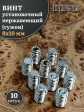 Винт установочный нержавеющий 8х10 DIN913 (гужон), 10 шт.