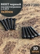 Винт чёрный 3х20 ISO 7380 под шестигранник к.п.10.9, 10 шт.