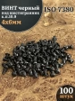 Винт чёрный 4х6 ISO 7380 под шестигранник к.п.10.9, 100 шт.