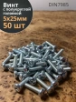 Винт с полукруглой головкой 5х25 ОЦ DIN7985, 50 шт.