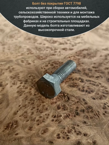 Болт без покрытия 10х45 мм ГОСТ 7798, 10 шт. фото 5