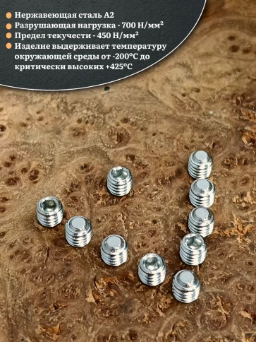 Винт установочный нержавеющий 6х6 DIN913 (гужон), 10 шт. фото 3