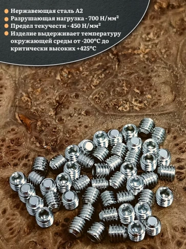 Винт установочный нержавеющий 6х5 DIN913 (гужон), 50 шт. фото 3