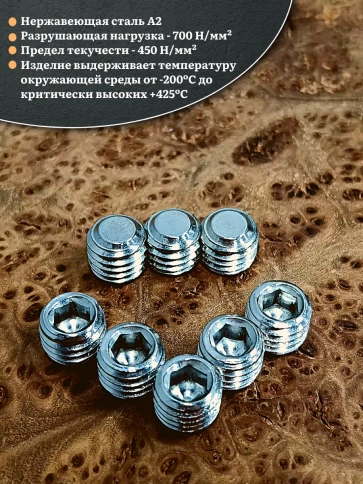 Винт установочный нержавеющий 12х10 DIN913 (гужон), 10 шт. фото 3
