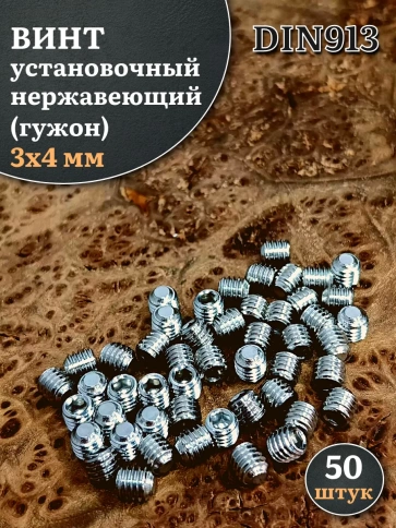 Винт установочный нержавеющий 3х4 DIN913 (гужон), 50 шт. фото 1