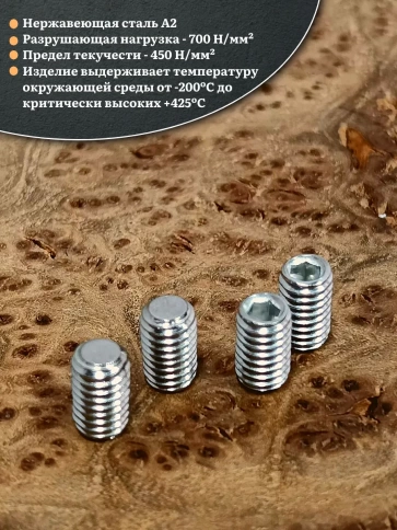 Винт установочный нержавеющий 4х12 DIN913 (гужон), 10 шт. фото 3